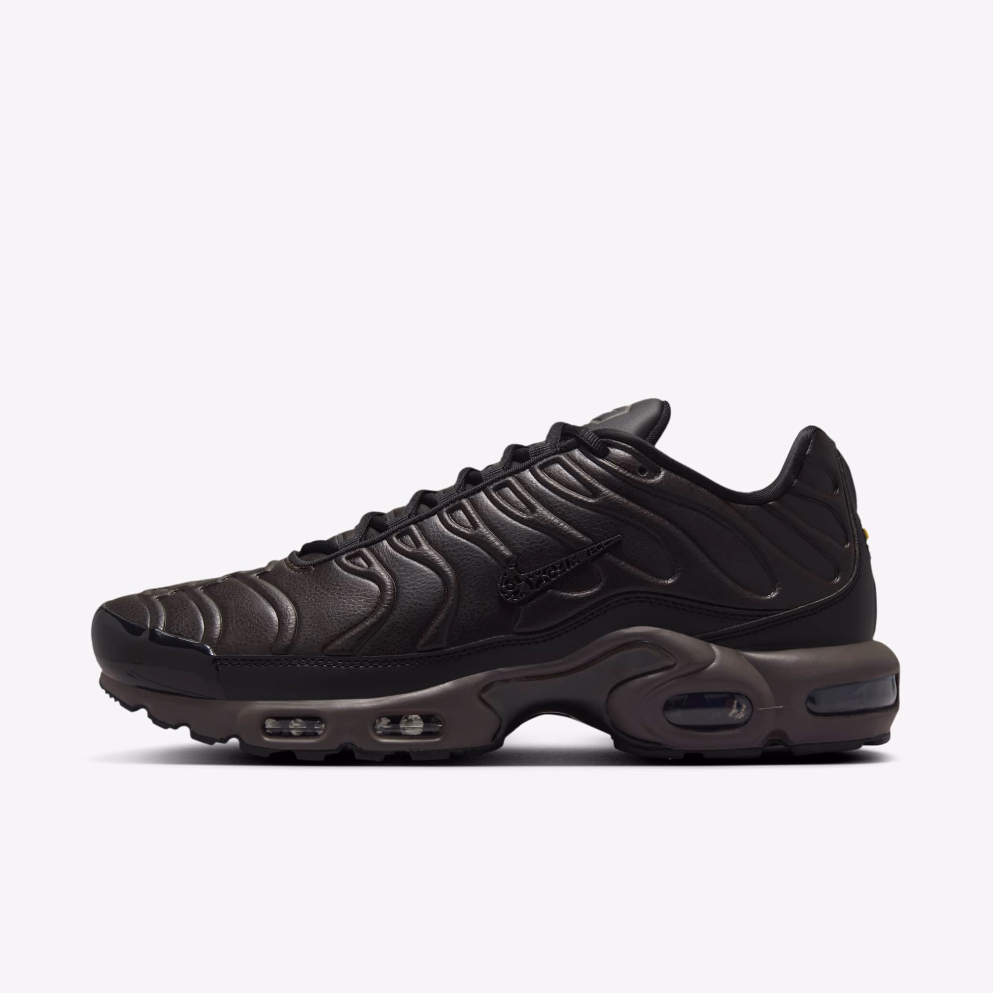 Кросівки чоловічі Nike Air Max Plus Paris Lifestyle Shoe Black HJ4519-200