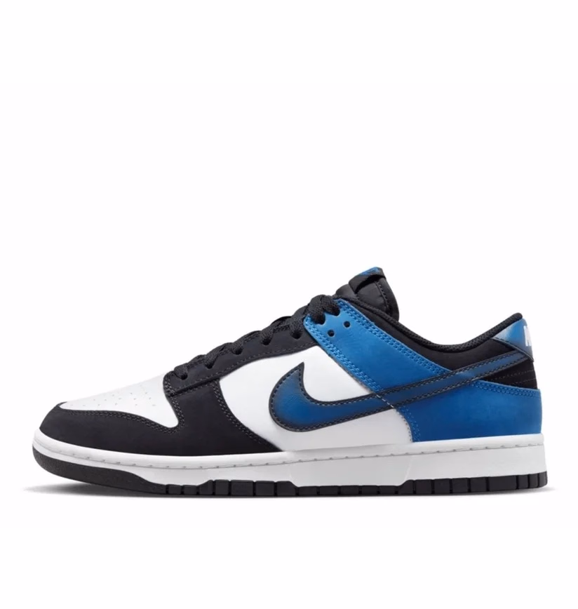 Кросівки чоловічі Nike Dunk Low Retro NAS FD6923-100